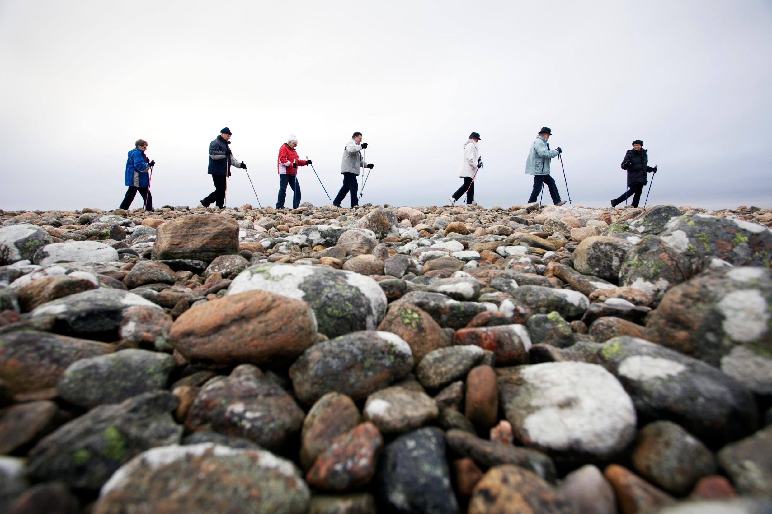 Seven people seen walking with sticks. Round stones in the foreground.