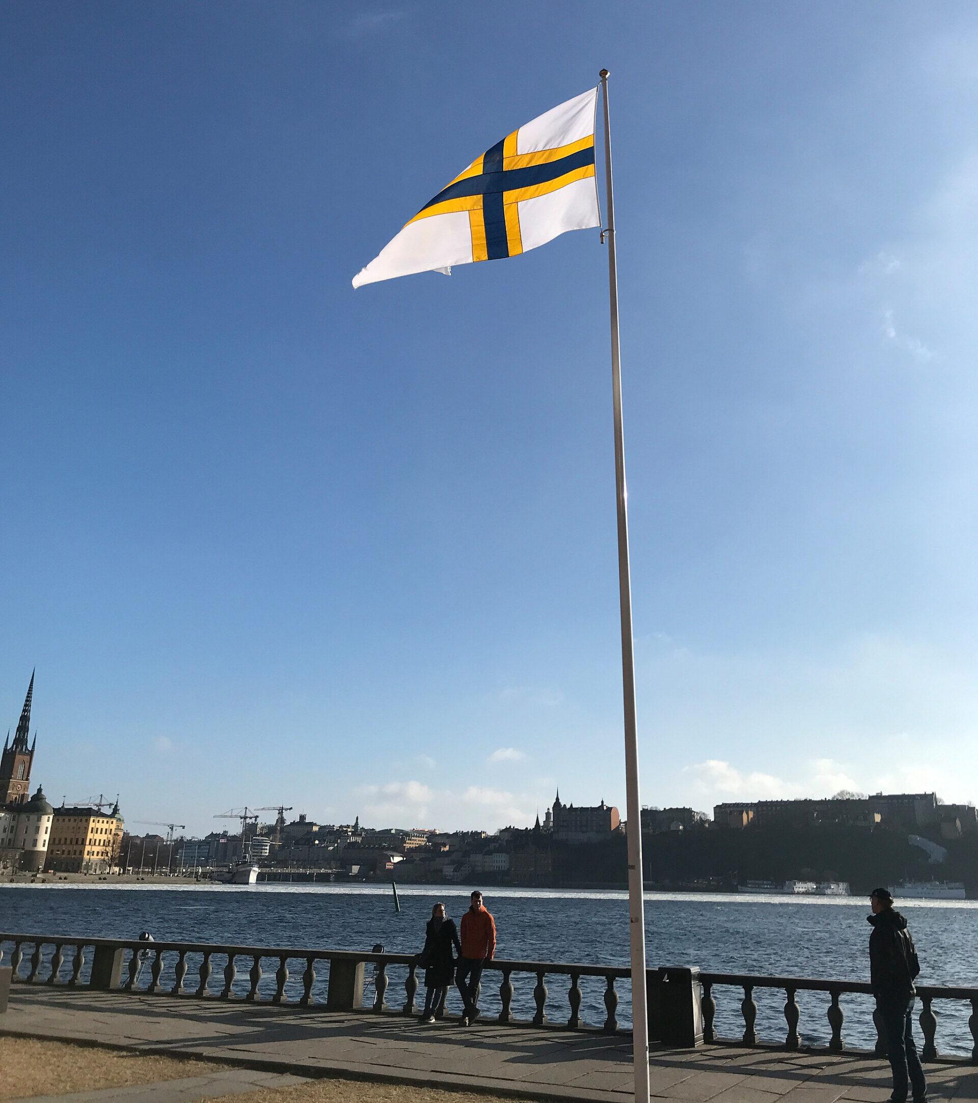 The Swedish-Finnish flag on a flag pole by the water.