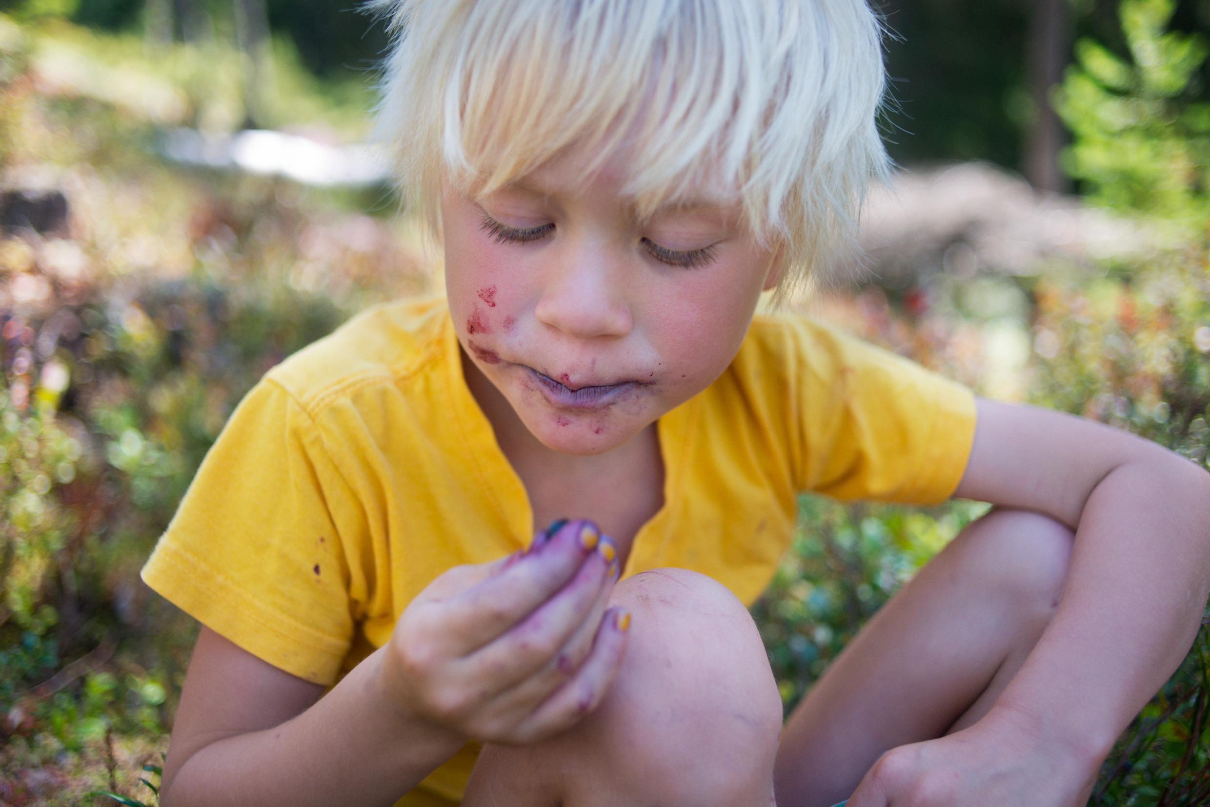 Blueberry picking