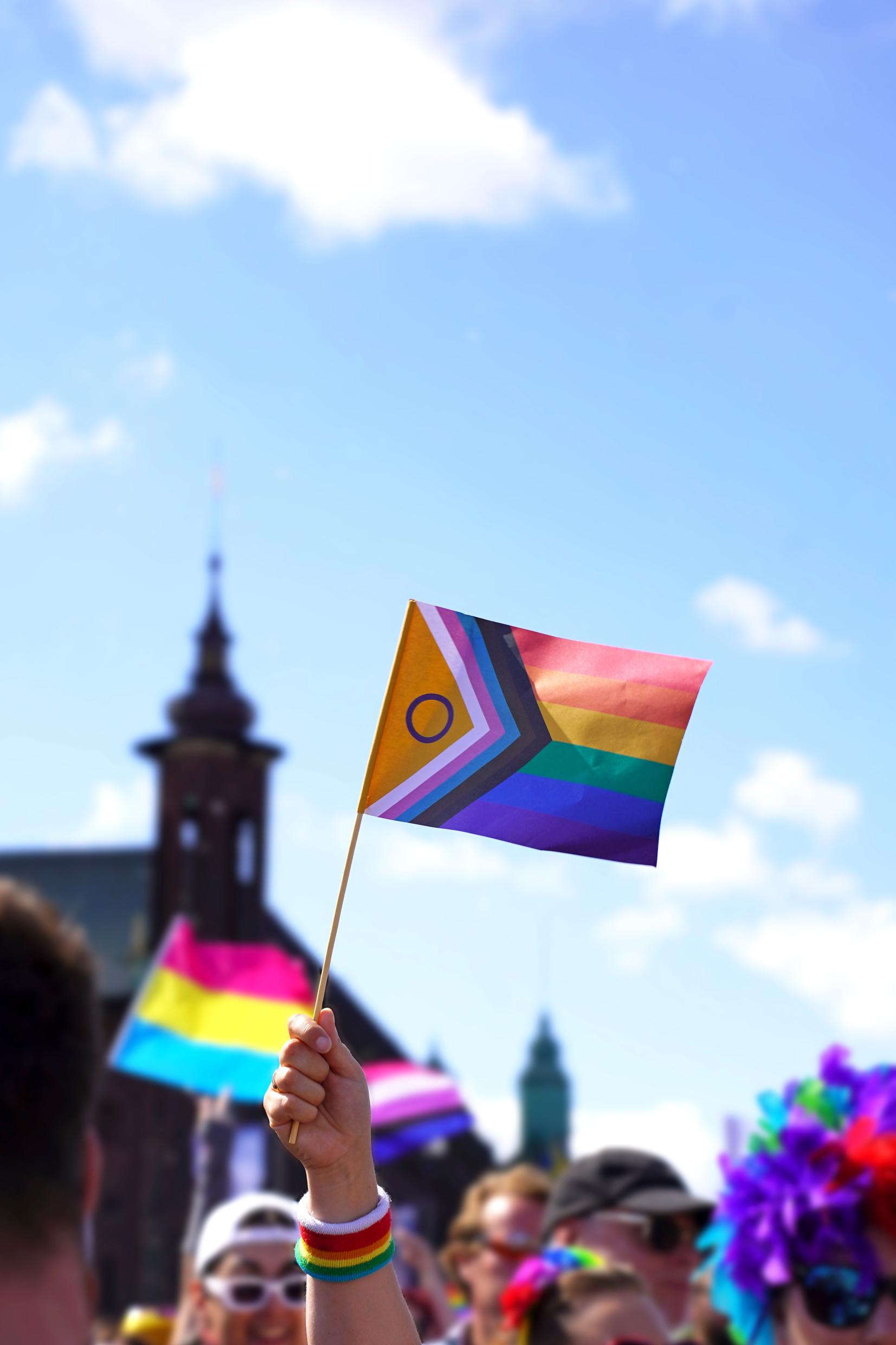 A person holding the Progress Pride flag while walking in the Stockholm Pride.