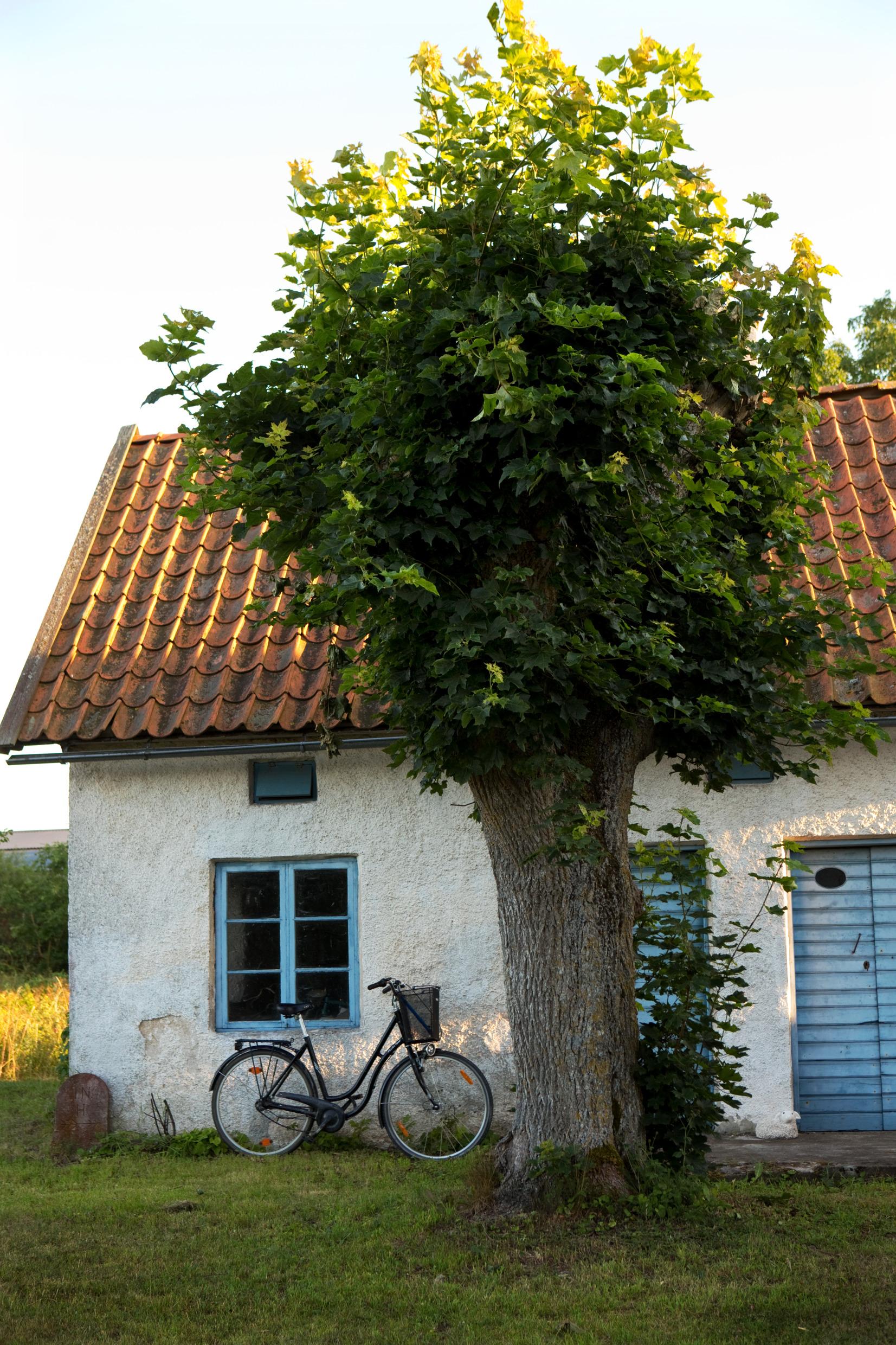 Swedish countryside