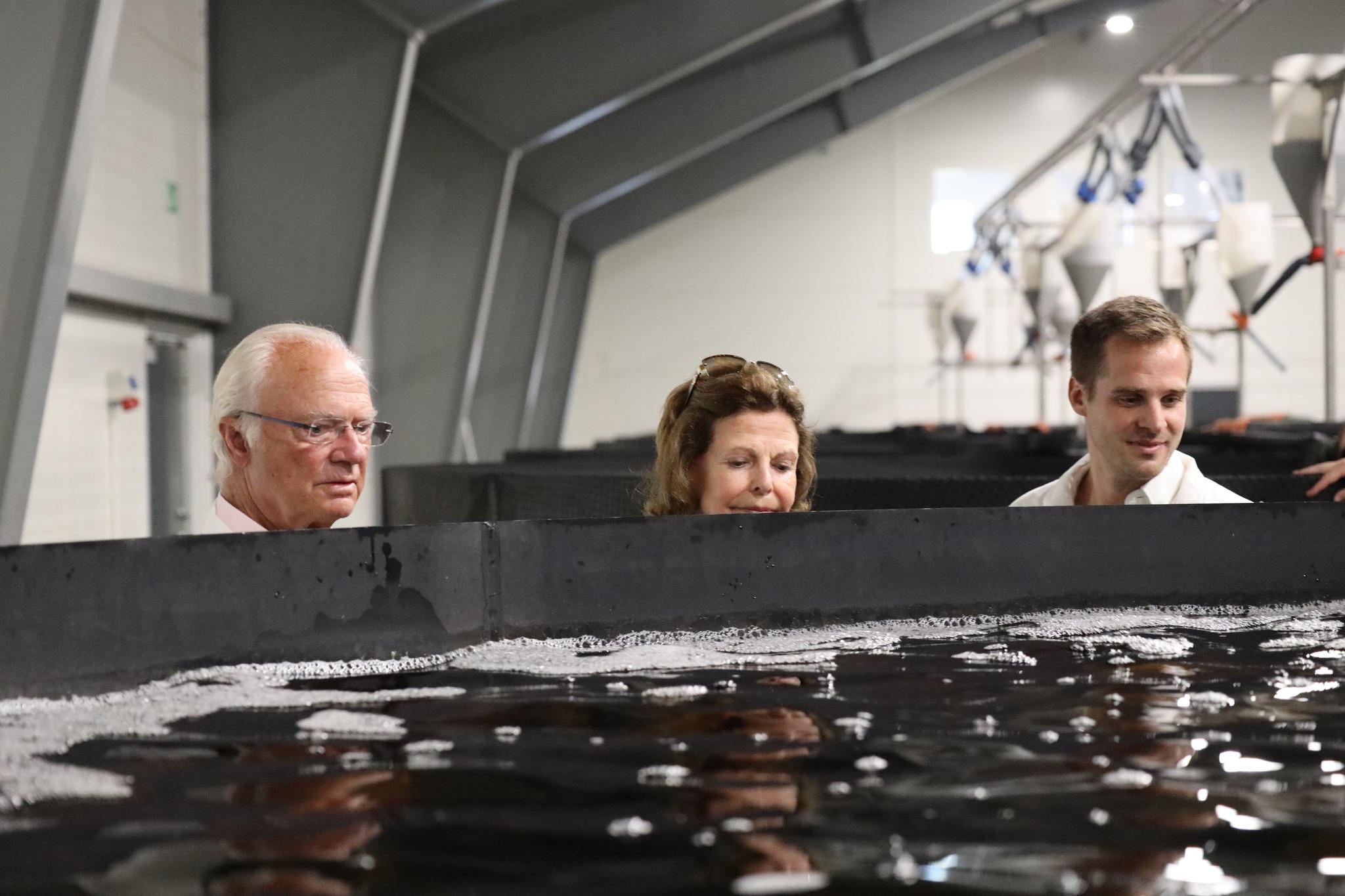 Three heads sticking up behind a big tank.