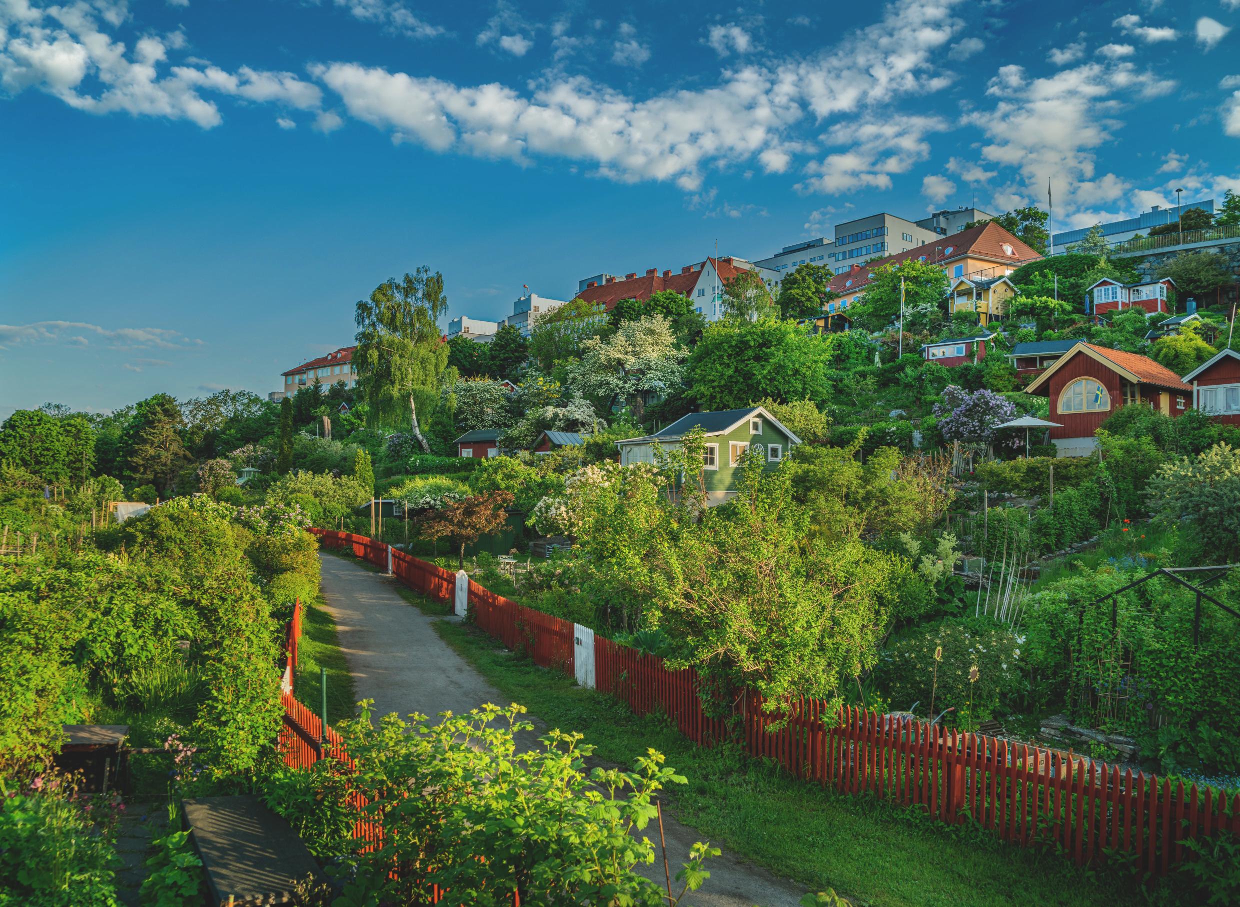 A green area with small cottages against a city skyline background.