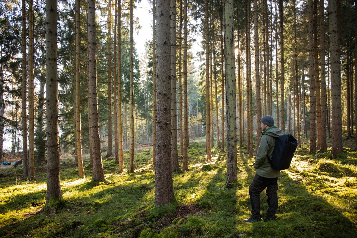 Hej! Welcome to sweden.se – the official website of Sweden