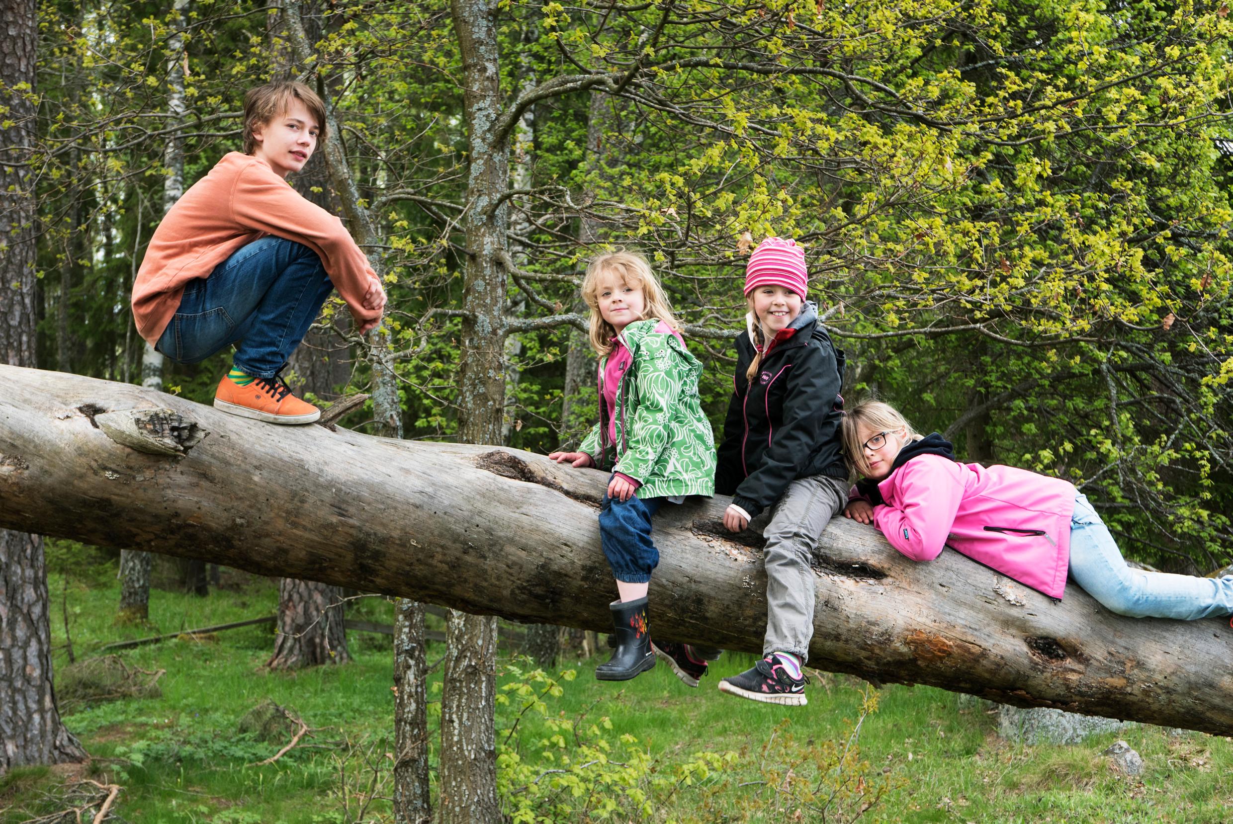 Four children sitting and lying on a leaning tree trunk in nature.
