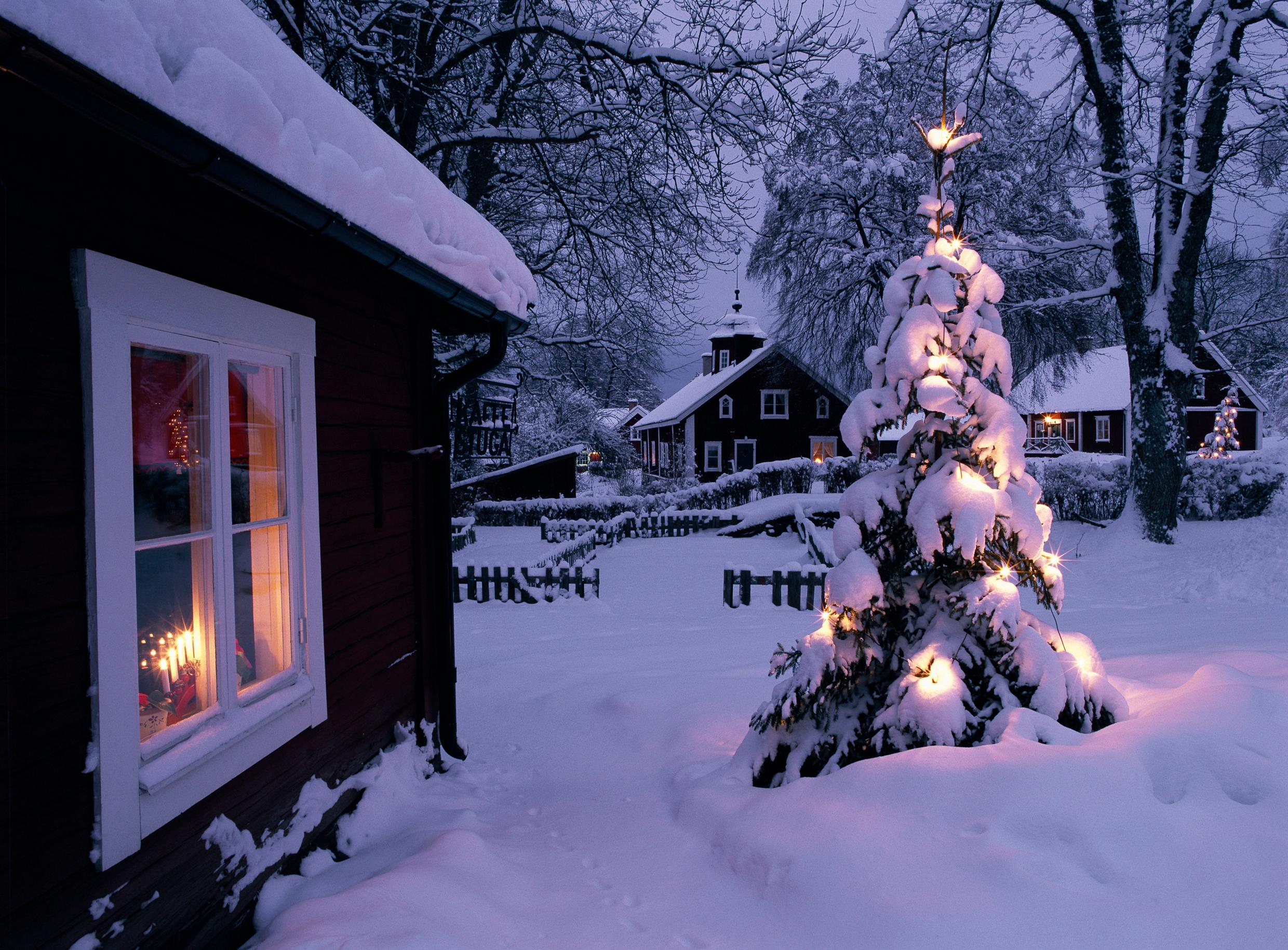 A house with a Christmas tree outside in a snowy landscape.