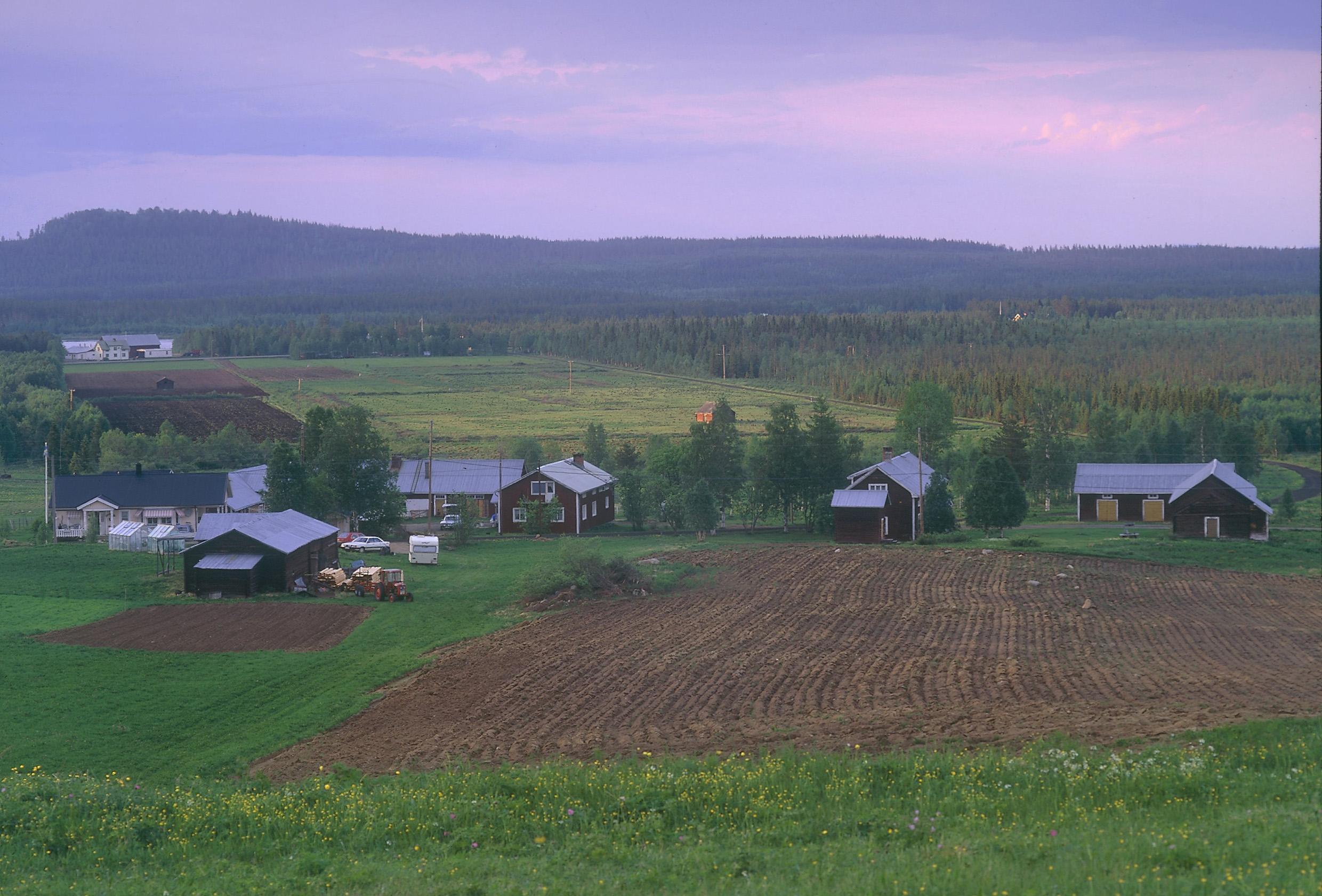 A countryside landscape with a few houses among fields and some trees.
