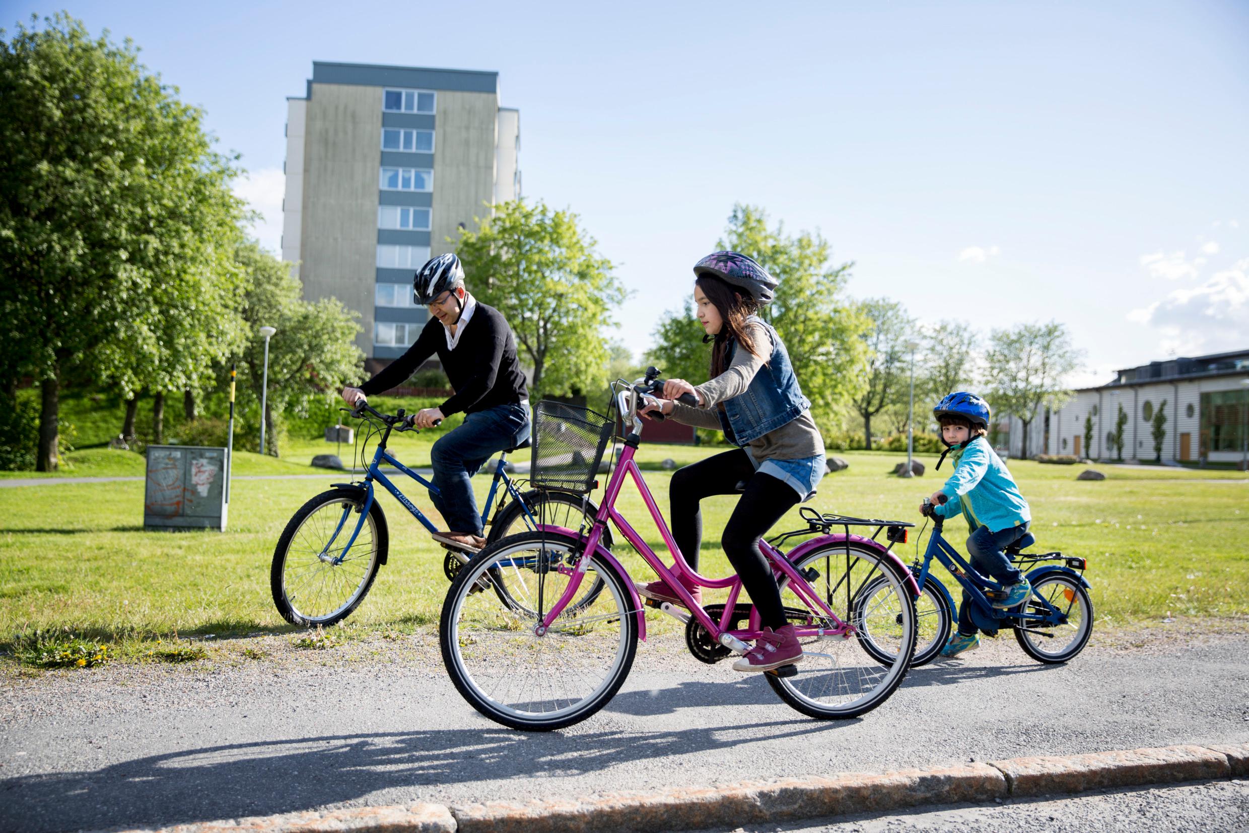 A father and two children cykling on a cycle path next to a grassy area.