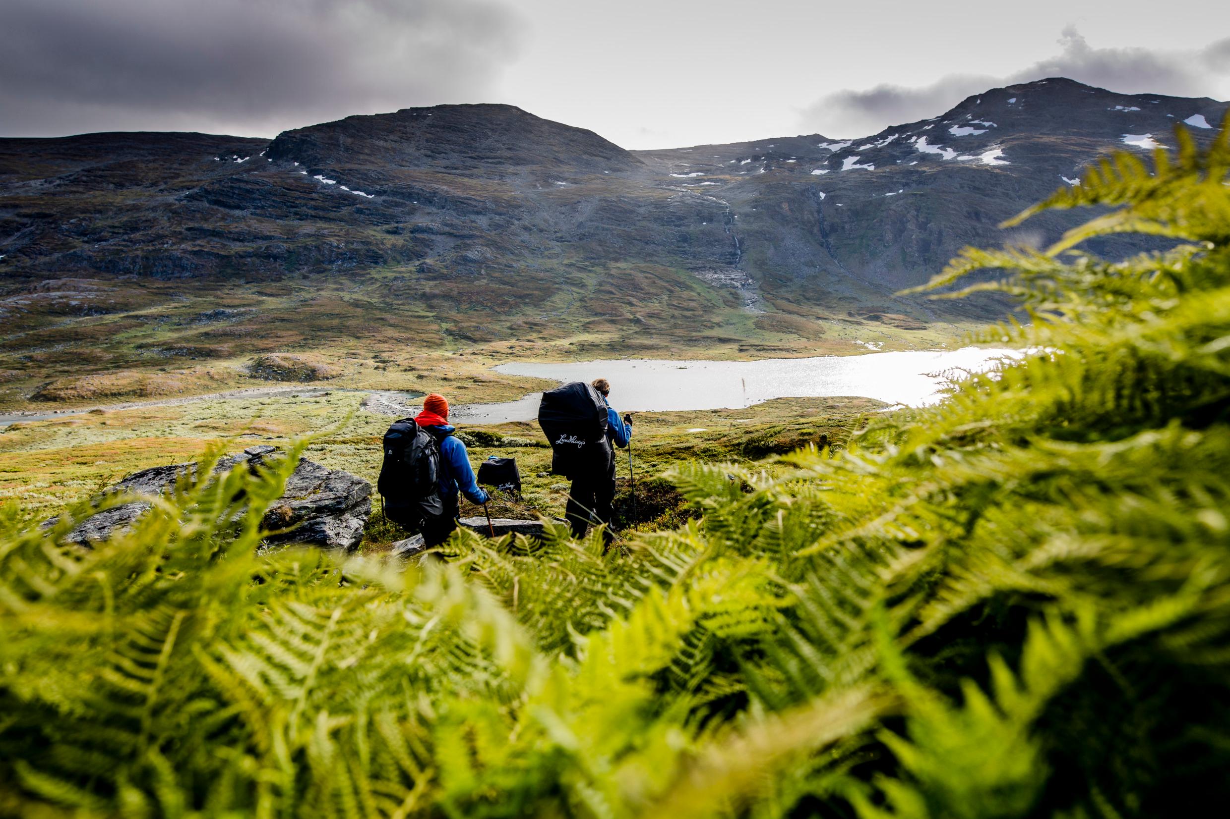 Two people hiking in the mountains, green fern in the foreground.