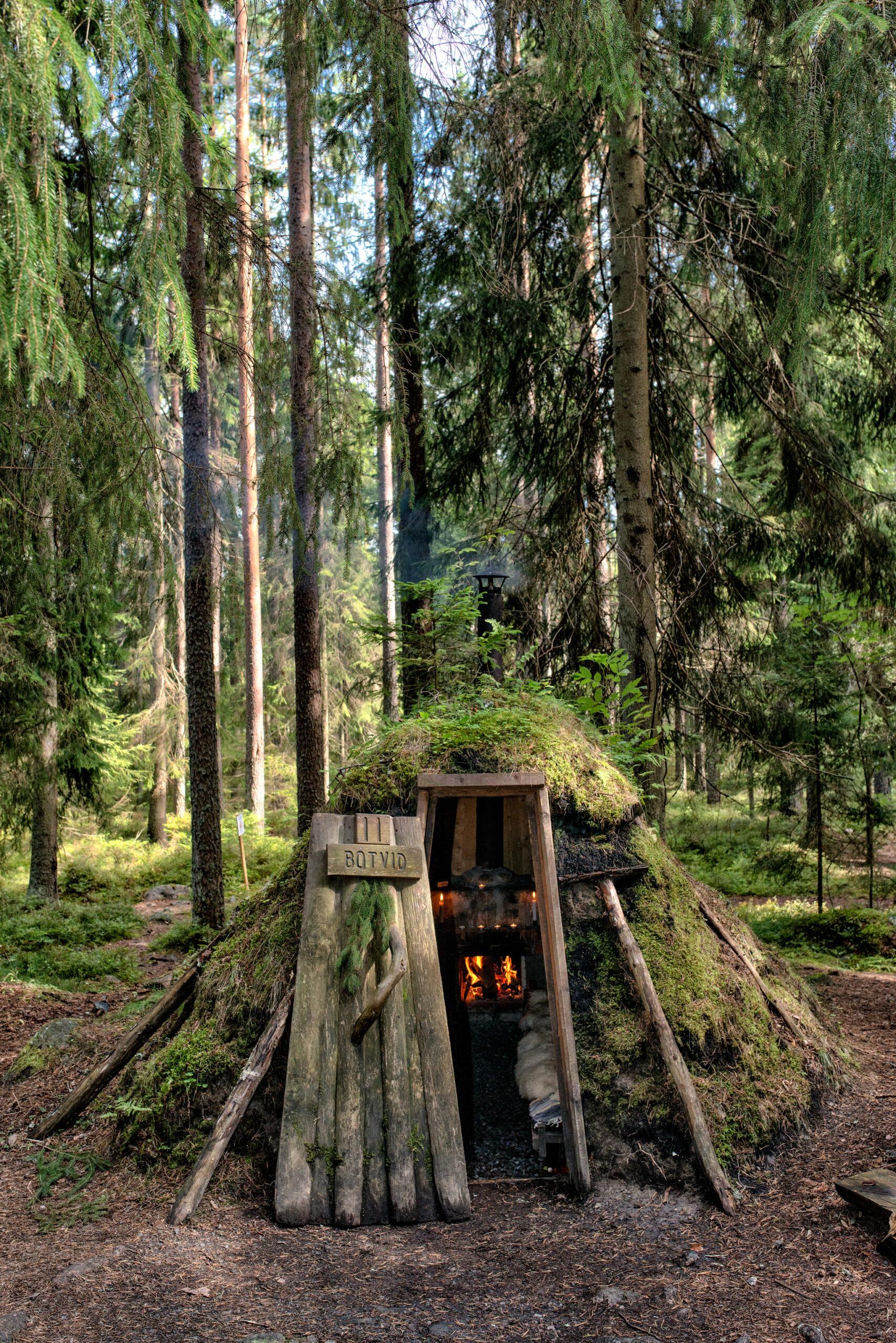 A primitive-looking hut in a forest.