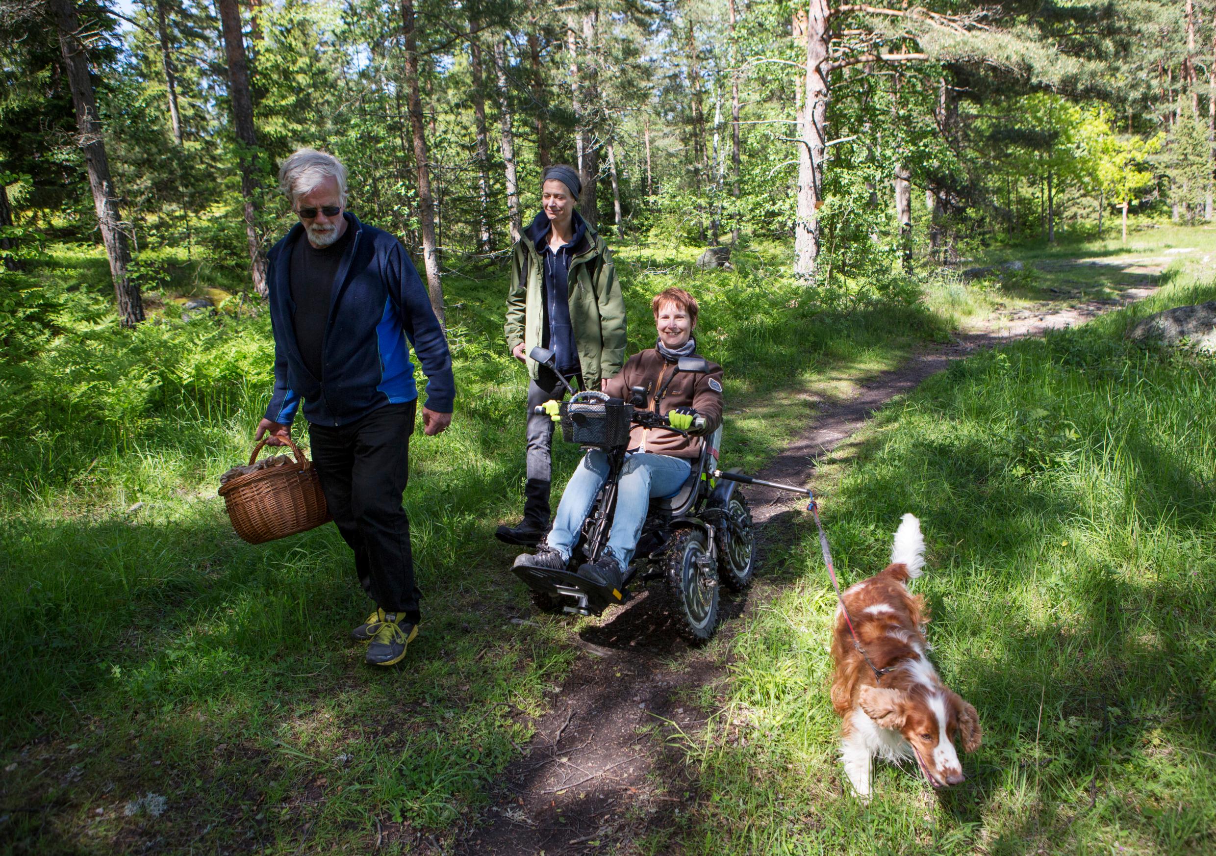 Two people walking, one person in a wheelchair and a dog – all out in a green forest.