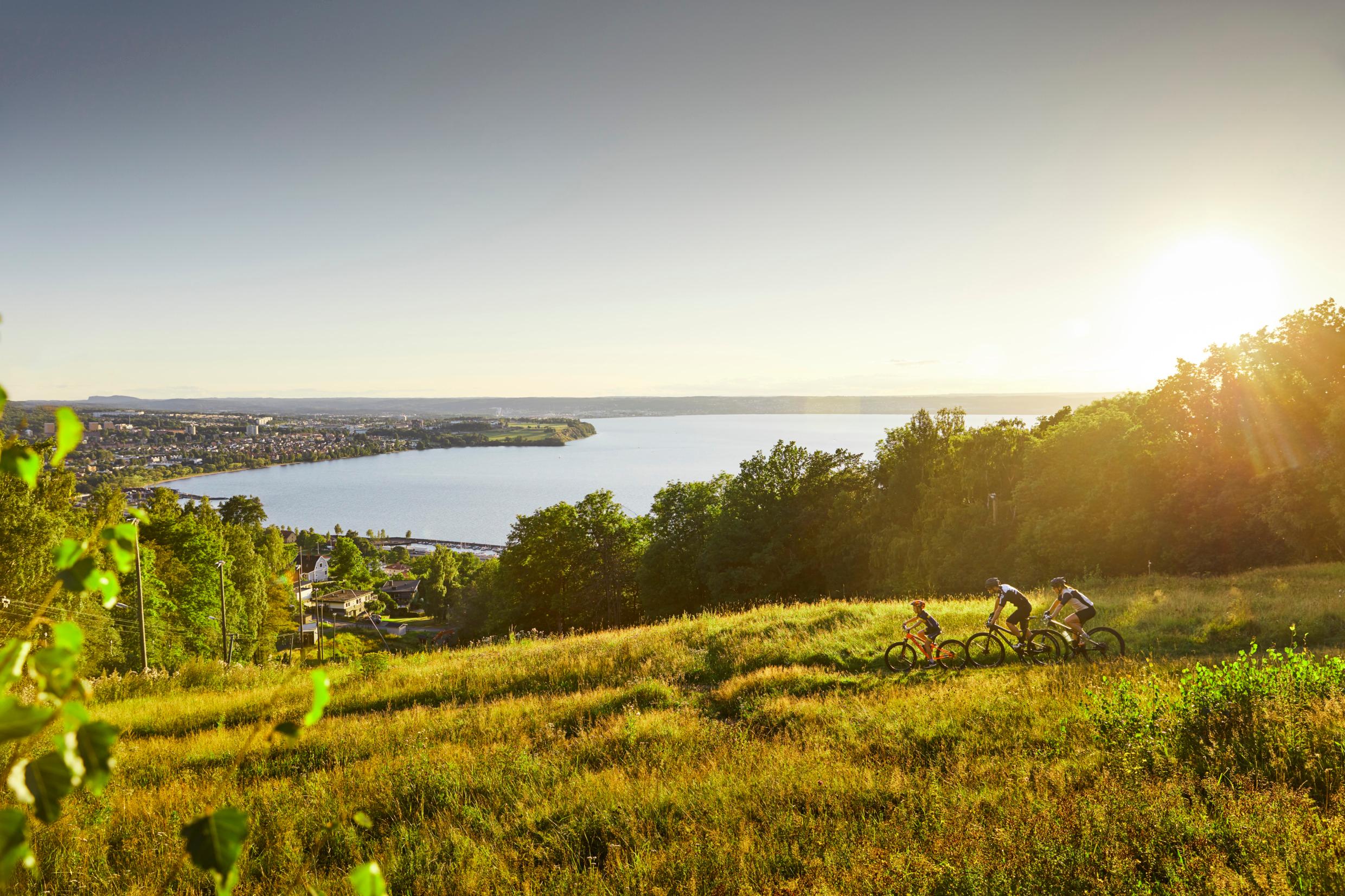 People biking on hill in Sweden, with a view over houses, forest and a lake.