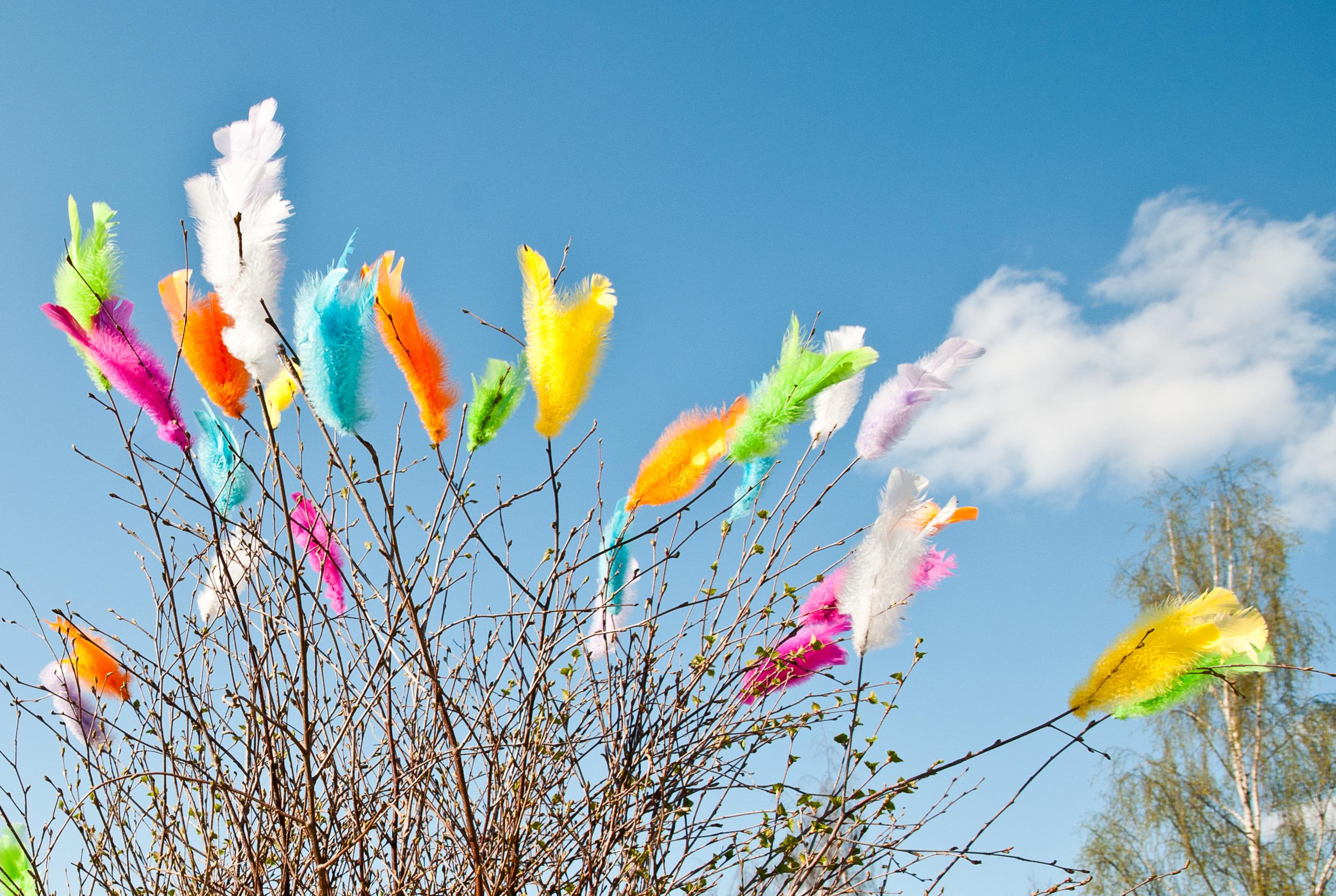 Twigs decorated with colourful feathers. Typical at Easter in Sweden.