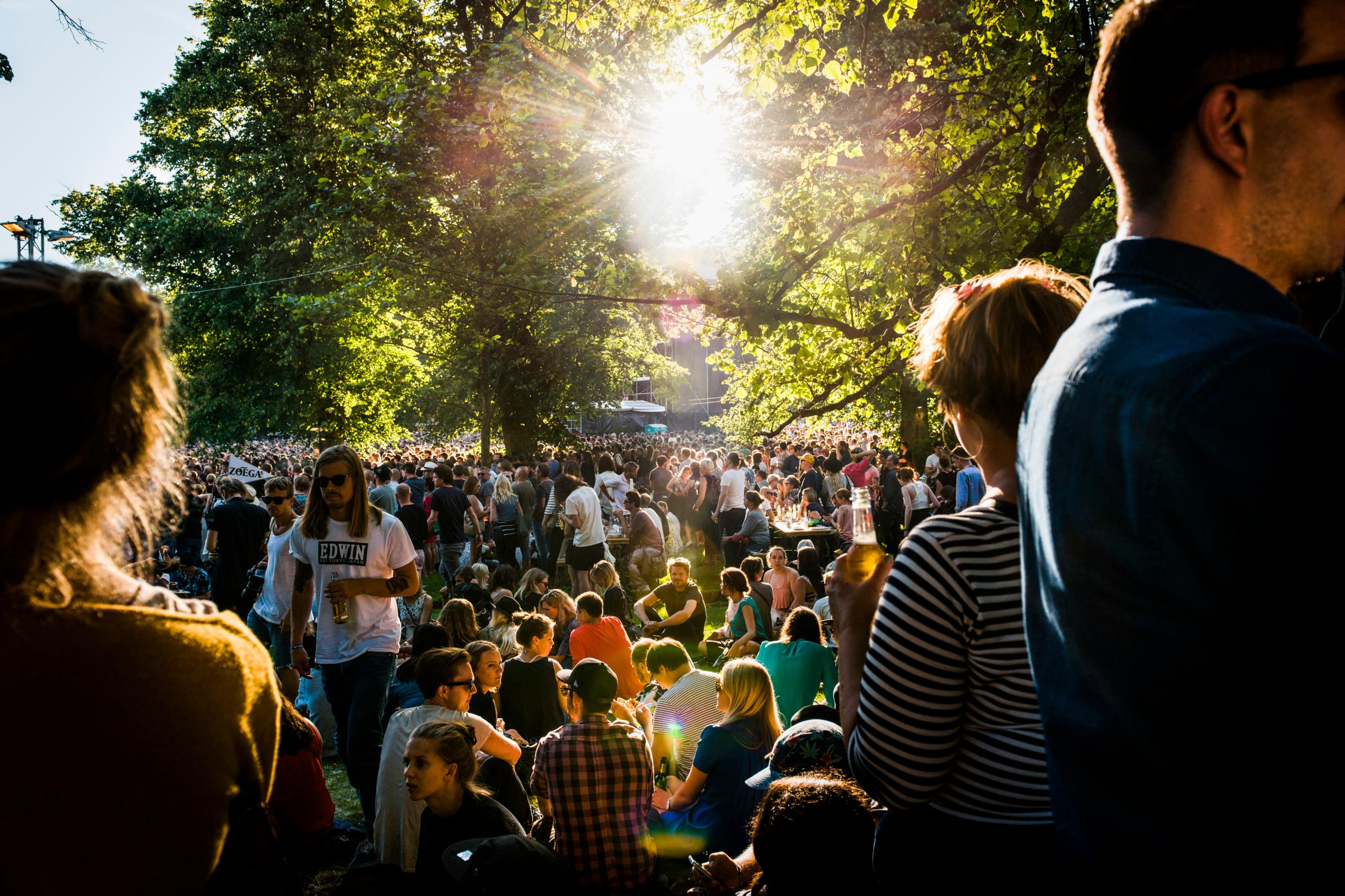 A crowd of people in a park seen against sunlight shining through green trees.