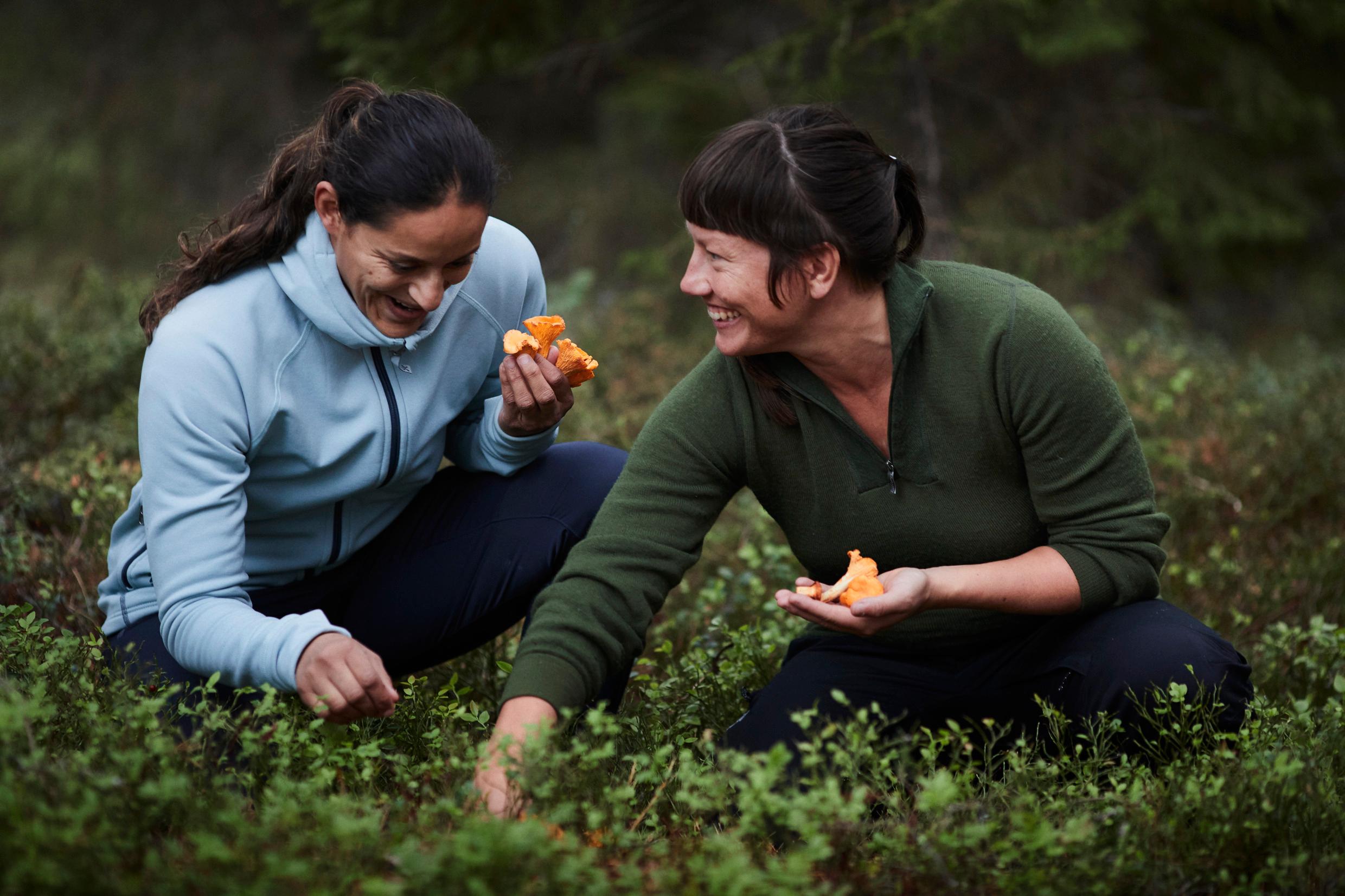 Two women picking mushrooms.