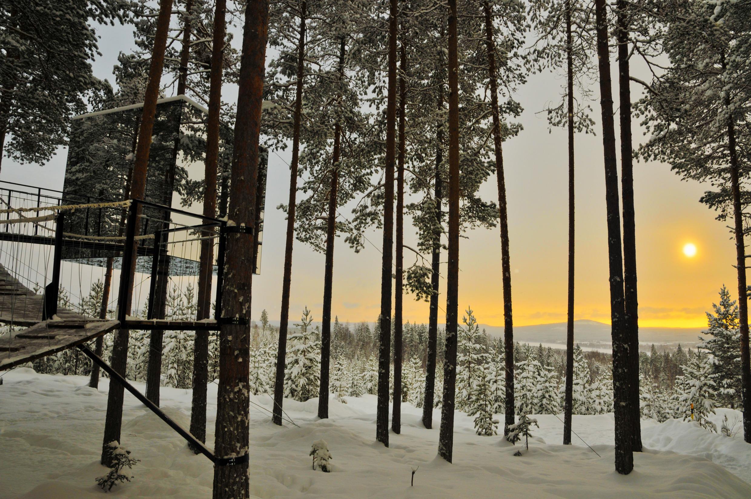 The tree hotel made of mirror glass, set in a snowy forest in Swedish Lapland.
