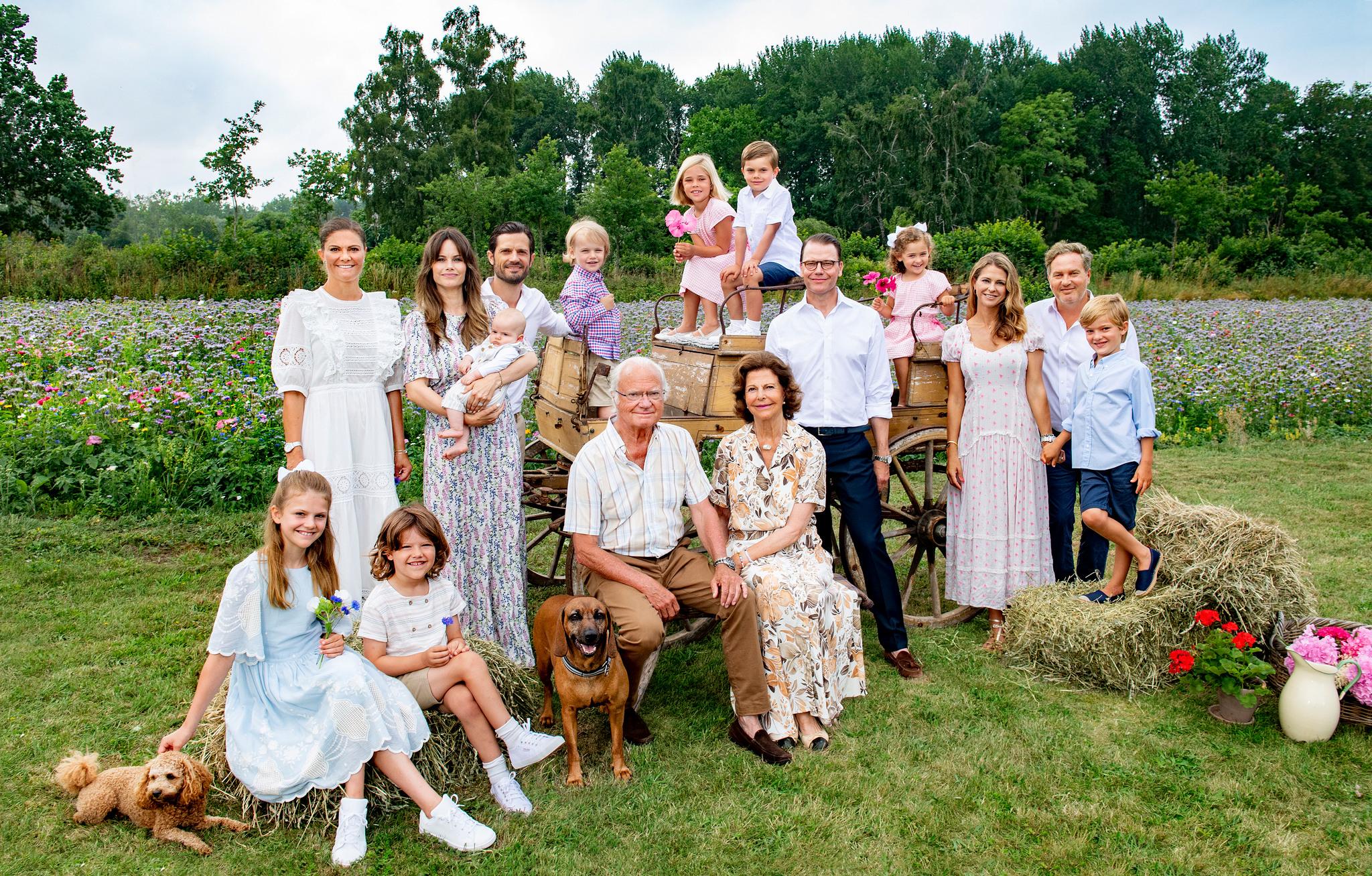 A group portrait of the members of the Swedish royal family, grown-ups and children. The photo os taken on a green lawn, with trees in the background.