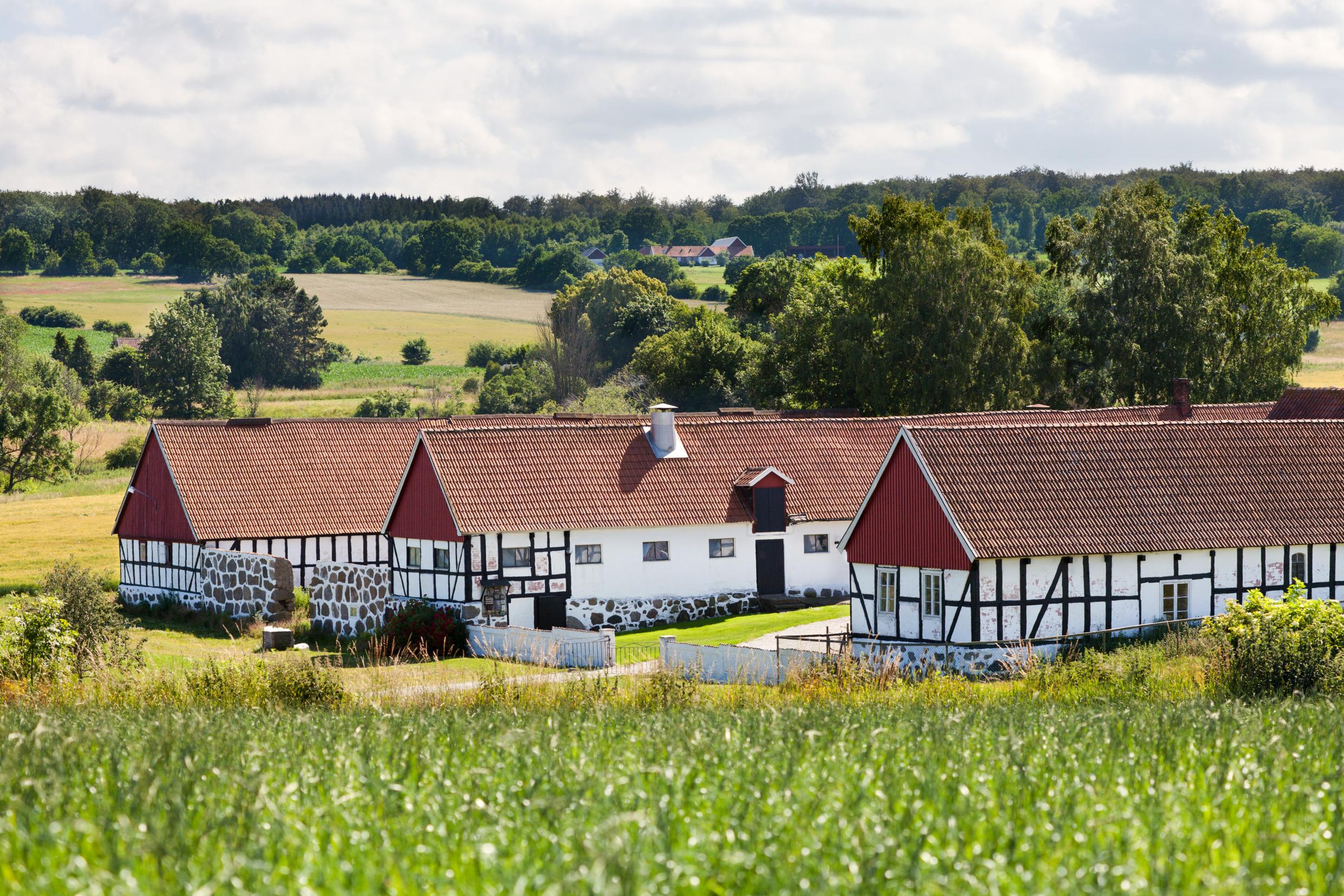Three farm buildings on a field in Skåne are surrounded by crops and patches of trees.