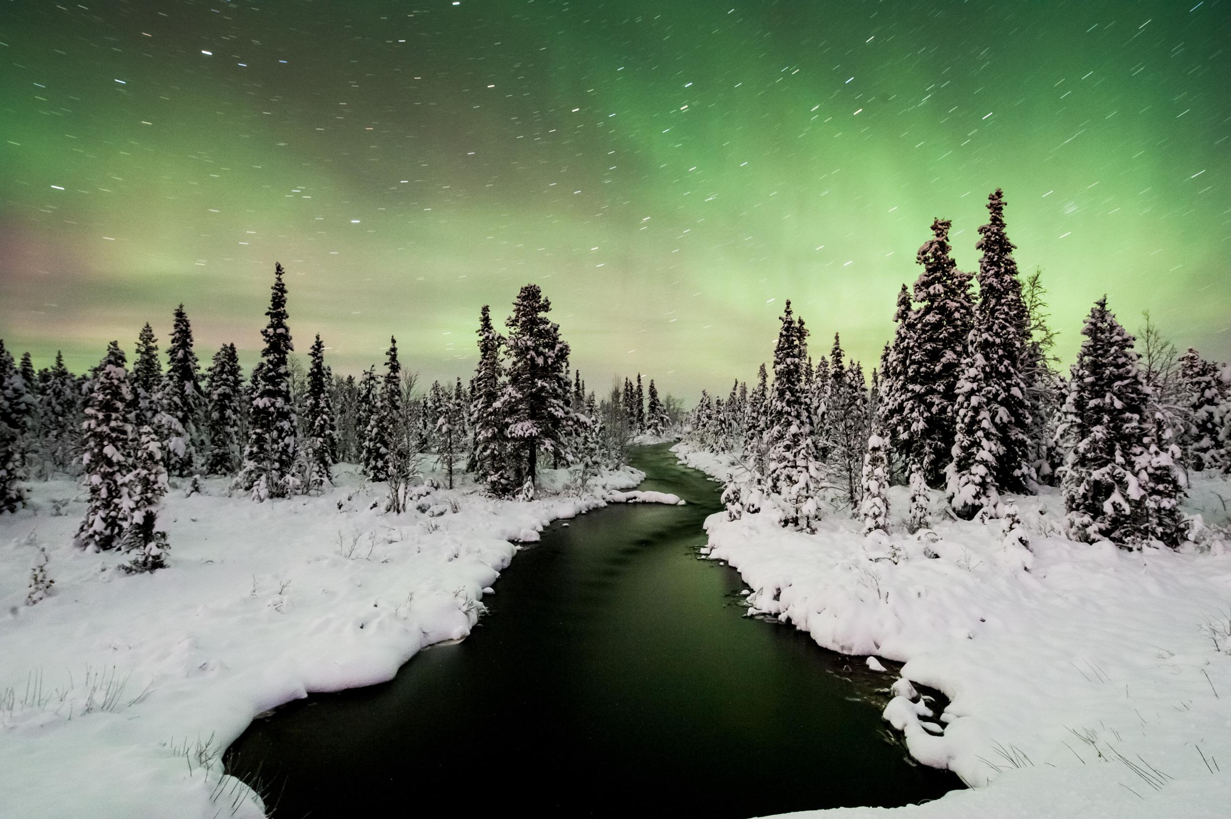 The Northern Lights seen above a winter forest landscape with a stream in the middle.