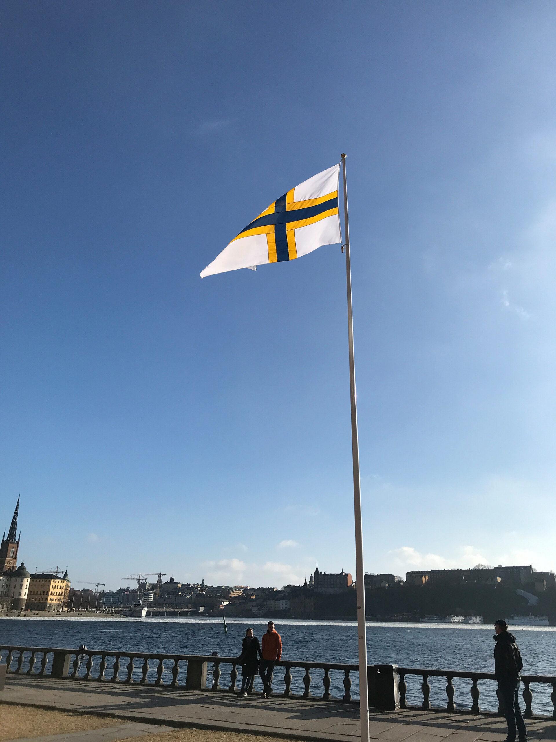 The Swedish-Finnish flag on a flag pole by the water.