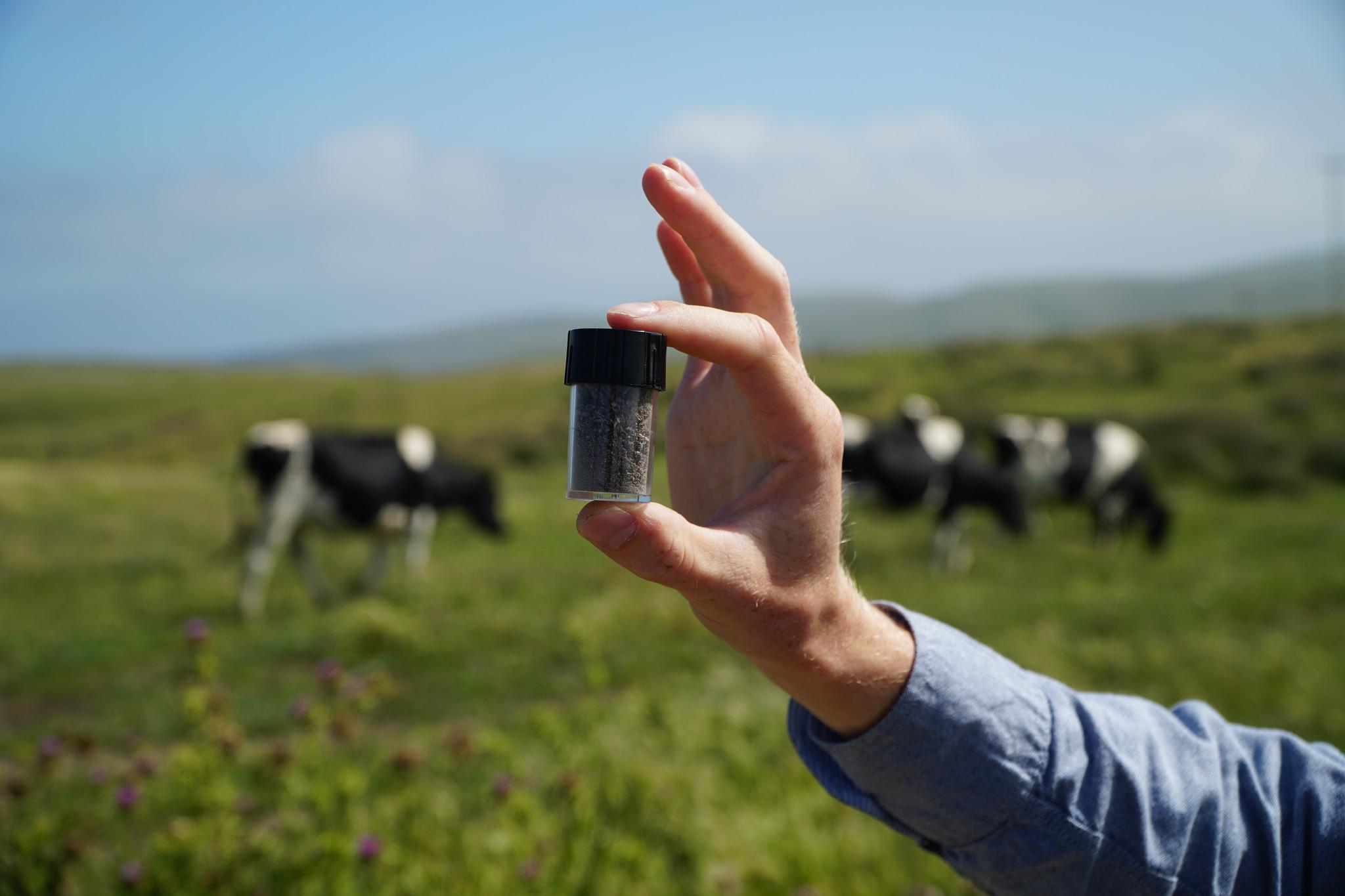 A hand holding a small glass jar, against a backdrop of cows on a green field. Volta Greentech is one of the Swedish companies driving the green transition.